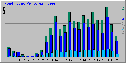 Hourly usage for January 2004